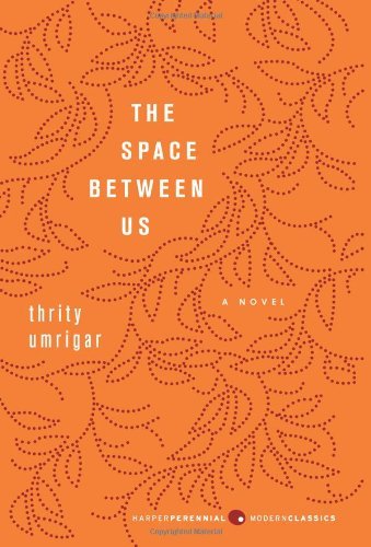 The Space Between Us: A Novel (P.S.)