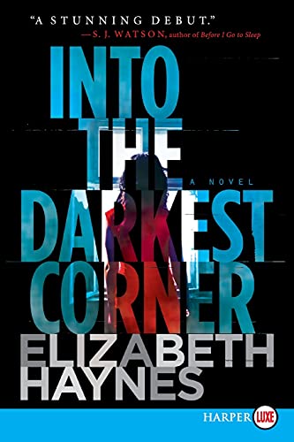 Into the Darkest Corner (Large Print)