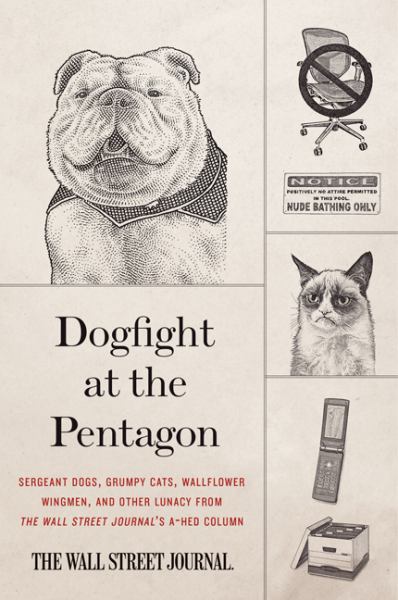 Dogfight at the Pentagon