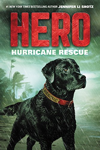Hurricane Rescue (Hero, Bk.2)