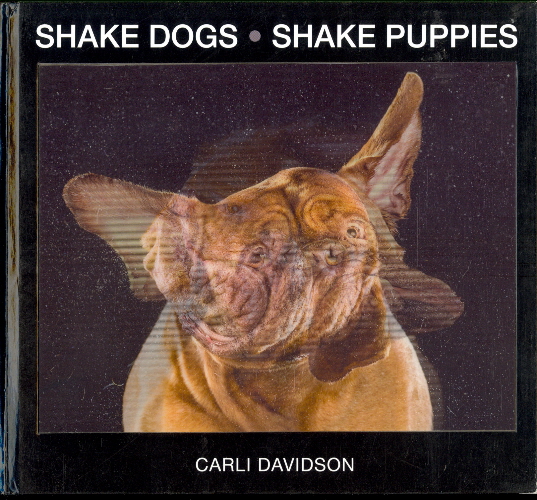 Shake Dogs, Shake Puppies