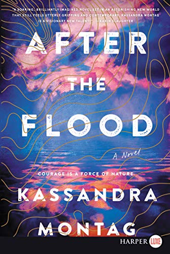 After the Flood (Large Print)