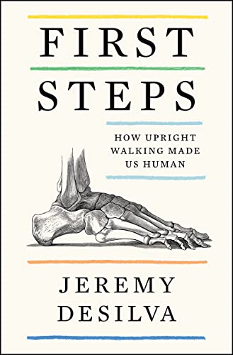 First Steps: How Upright Walking Made Us Human