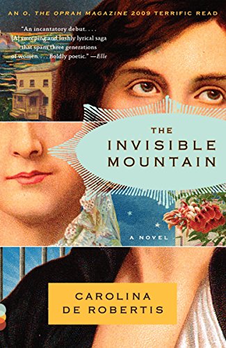 The Invisible Mountain (Vintage Contemporaries)