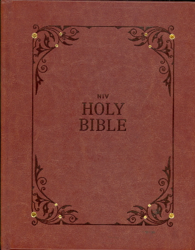 NIV, Our Family Story Bible, Exclusive Edition (Comfort Print)