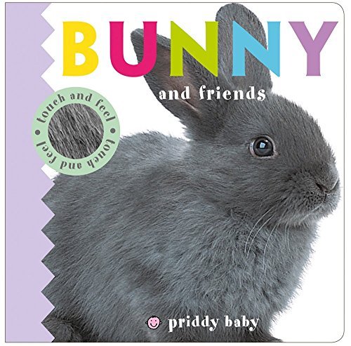 Bunny and Friends  (Baby Touch and Feel)