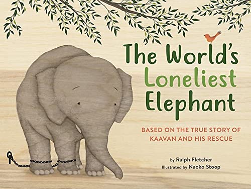 The World's Loneliest Elephant: Based on the True Story of Kaavan and His Rescue