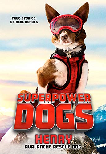 Henry: Avalanche Rescue Dog (Superpower Dogs)
