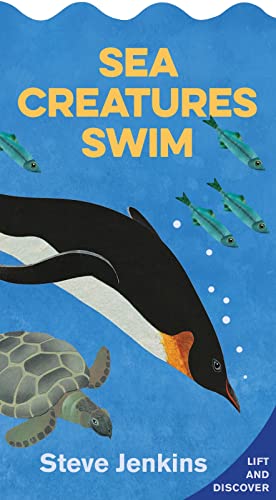 Sea Creatures Swim