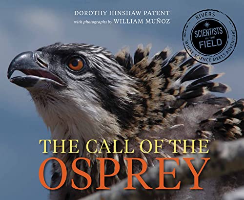 The Call Of The Osprey (Scientists In The Field)