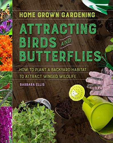 Attracting Birds And Butterflies (Home Grown Gardening)