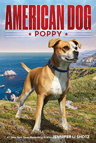 Poppy (American Dog)