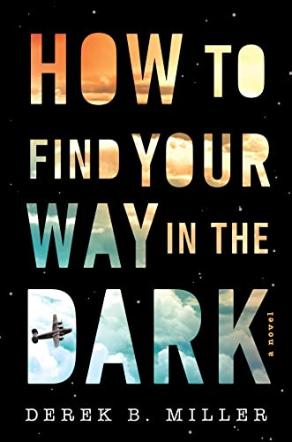 How To Find Your Way In The Dark (A Sheldon Horowitz Novel, Bk. 1)