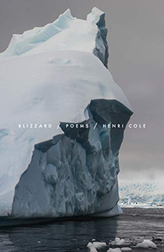 Blizzard: Poems