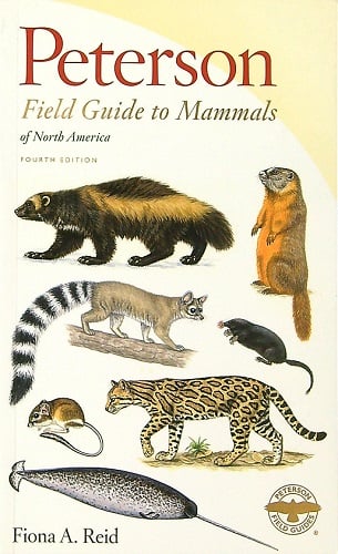 Field Guide to Mammals of North America (Peterson Field Guides, 4th Edition)