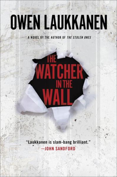 The Watcher in the Wall (A Stevens and Windermere Novel)