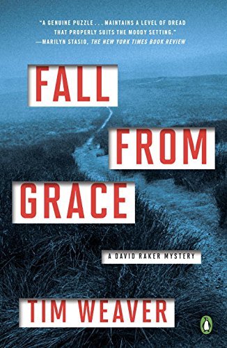 Fall from Grace (David Raker Mystery)