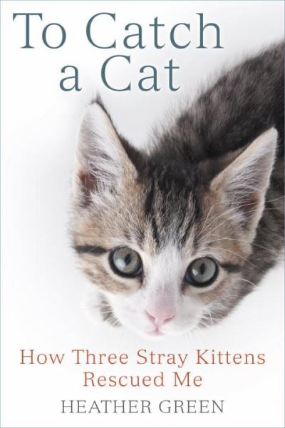 To Catch a Cat: How Three Stray Kittens Rescued Me