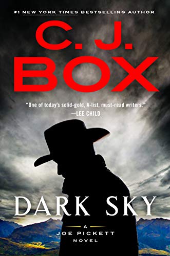 Dark Sky (A Joe Pickett Novel)