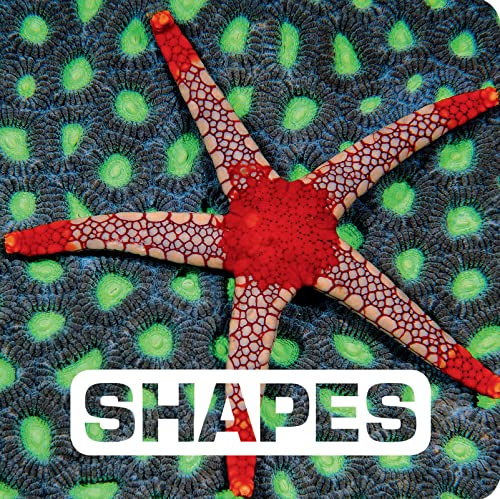 Shapes (Picture This)