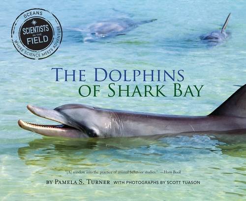 The Dolphins of Shark Bay (Scientists in the Field)