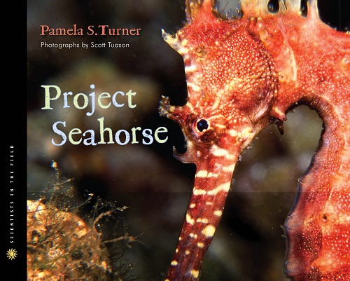 Project Seahorse (Scientists in the Field)