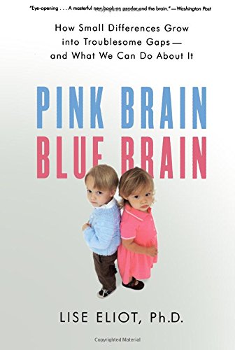 Pink Brain, Blue Brain: How Small Differences Grow into Troublesome Gaps -- and What We Can Do About It