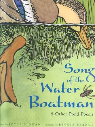 Song of the Water Boatman