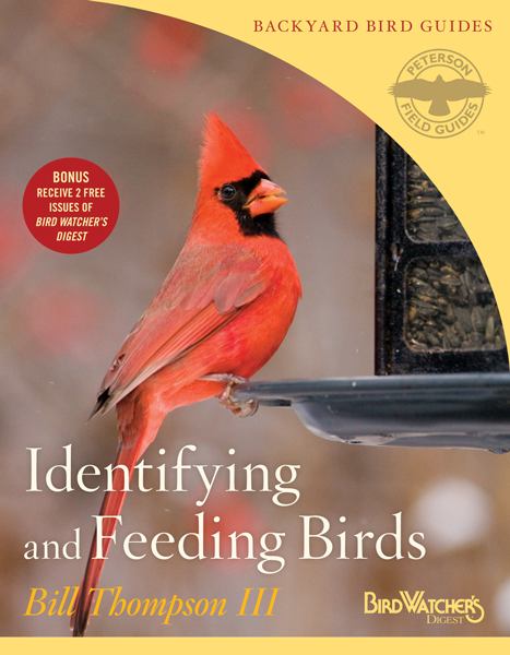 Identifying and Feeding Birds