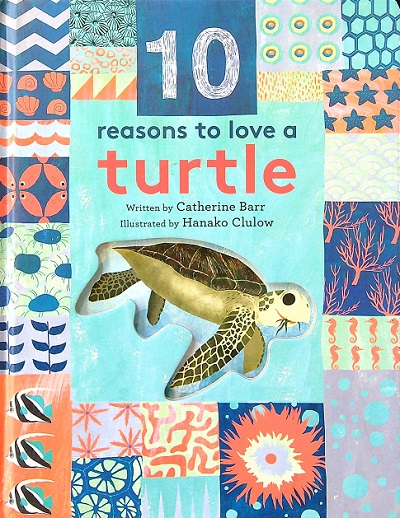 10 Reasons to Love a Turtle