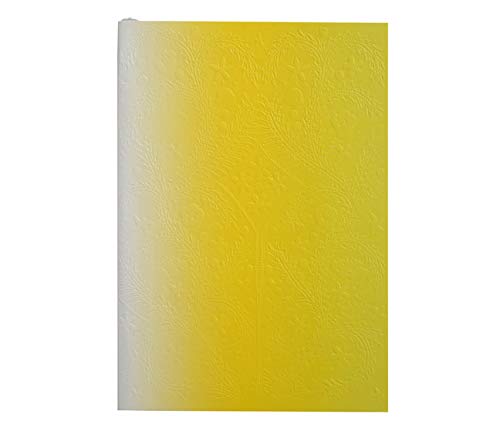 Christian Lacroix Neon Yellow A6  Paseo Notebook