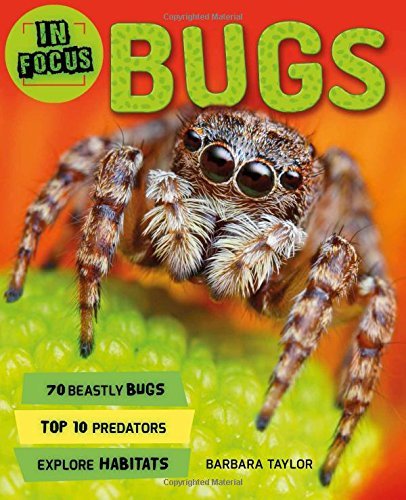 Bugs (In Focus)