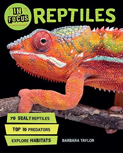 Reptiles (In Focus)