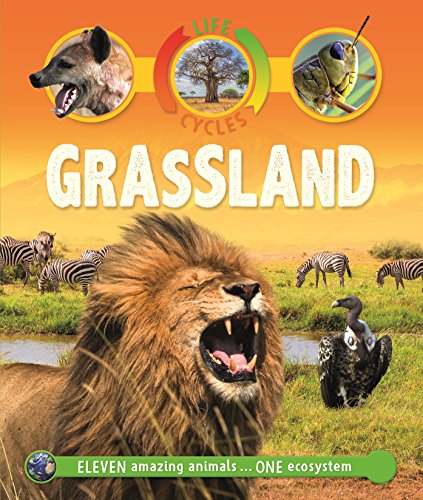 Grassland (Life Cycles)