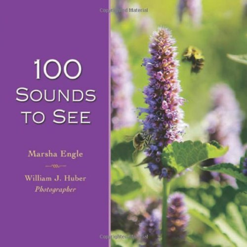100 Sounds to See