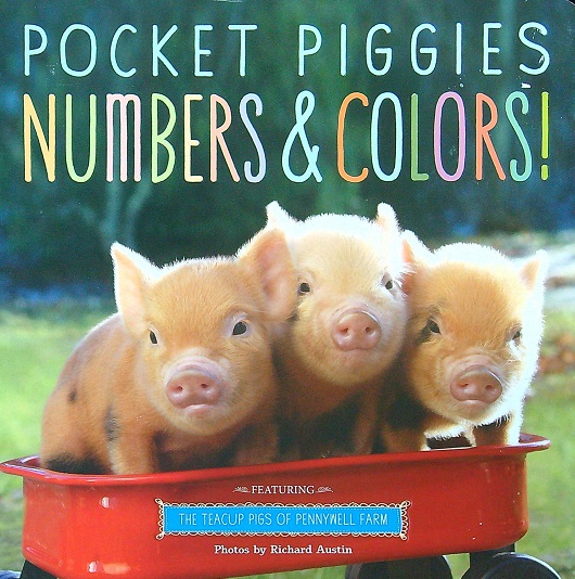 Numbers & Colors! (Pocket Piggies)