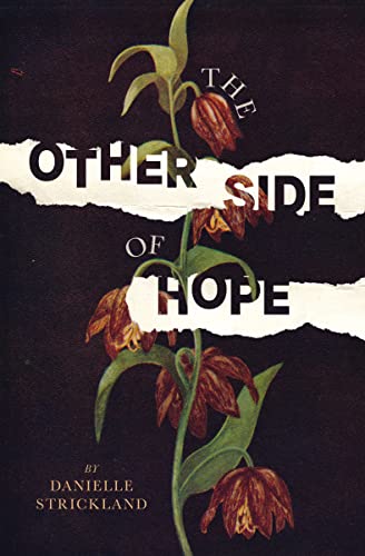 The Other Side of Hope: Flipping the Script on Cynicism and Despair and Rediscovering our Humanity