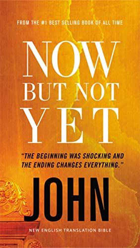 NET, Now but Not Yet: John (Eternity Now, Bk. 5)