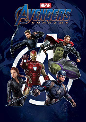 Marvel Avengers Endgame