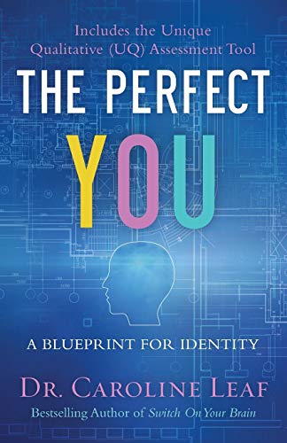 The Perfect You
