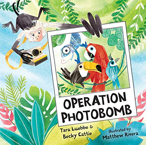 Operation Photobomb