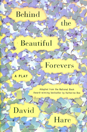 Behind the Beautiful Forevers: A Play