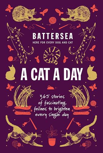 A Cat a Day: 365 Stories of Fascinating Felines to Brighten Every Single Day
