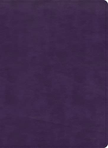 KJV, Study Bible (Plum LeatherTouch)