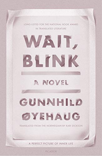 Wait, Blink: A Perfect Picture of Inner Life