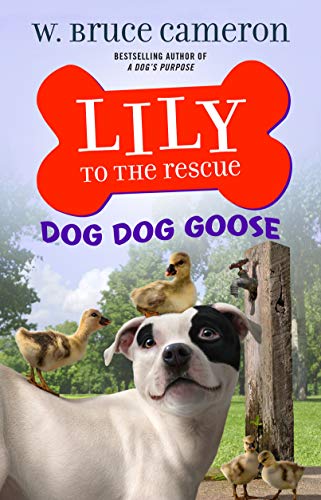 Dog Dog Goose (Lily to the Rescue!, Bk. 4)