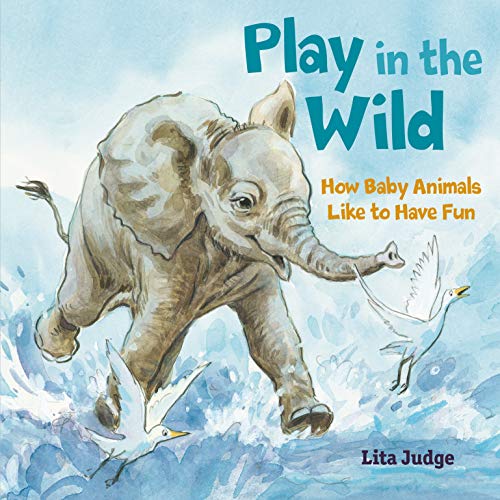 Play in the Wild: How Baby Animals Like to Have Fun