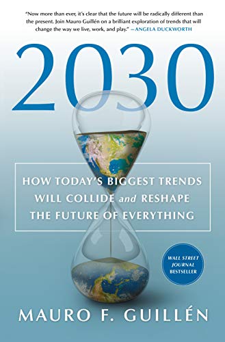 2030: How Today’s Biggest Trends Will Collide and Reshape the Future of Everything (Hardcover)
