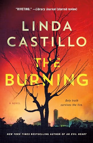 The Burning (Kate Burkholder, Bk. 16)