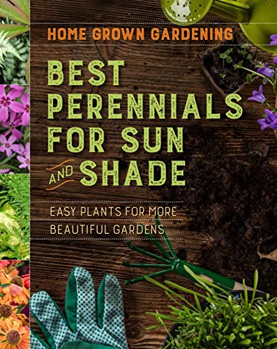 Best Perennials For Sun And Shade: Easy Plants For More Beautiful Gardens